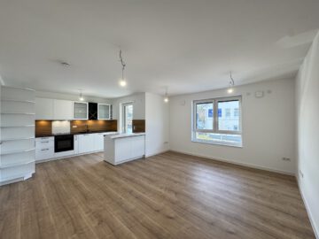 # IMMOTIONAL - KLIMAFREUNDLICHE NEUBAUWOHNUNGEN NACH QNG IN BAD BEDERKESA - WOHNUNG 10 - Wohnzimmer- und Küchenbereich